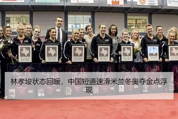 lin-xiao-jun-zhuang-tai-hui-nuan-zhong-guo-duan-dao-su-hua-mi-lan-dong-ao-duo-jin-dian-fu-xian-3-893.jpg