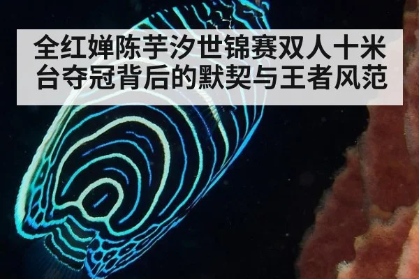 全红婵陈芋汐世锦赛双人十米台夺冠背后的默契与王者风范