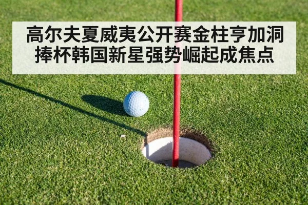 高尔夫夏威夷公开赛金柱亨加洞捧杯韩国新星强势崛起成焦点