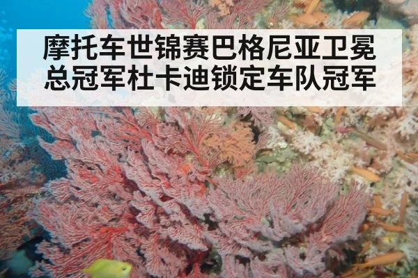 摩托车世锦赛巴格尼亚卫冕总冠军杜卡迪锁定车队冠军